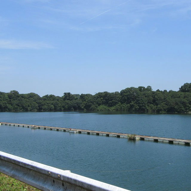 鮎川湖 海老沼養魚株式会社が管理している鮎川湖と八重笠沼の釣り場情報